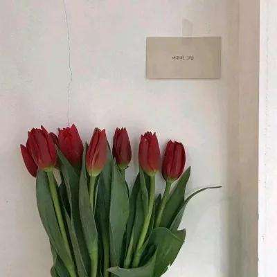360游戏中心魔法王座下载